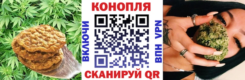 Cannafood конопля  Купить закладки  Магас 