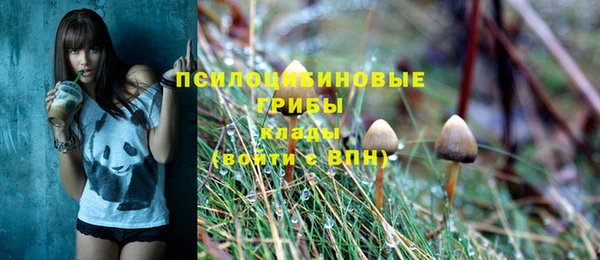 альфа пвп Куйбышев