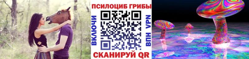 Купить закладки  Магас  Галлюциногенные грибы ЛСД 