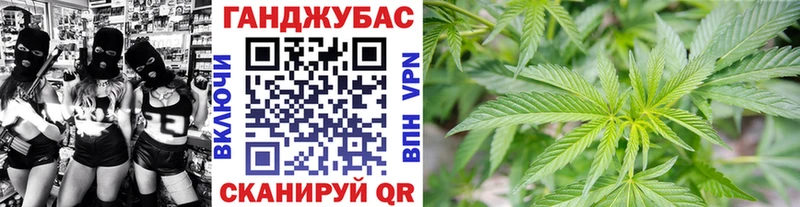 Марихуана семена  Купить  Магас 